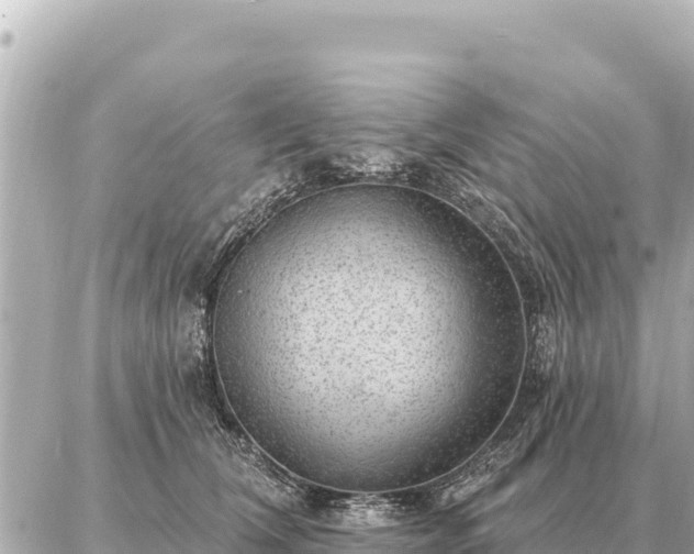 X0000086980612200704231821