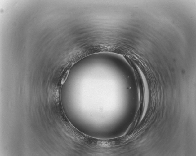 X0000086980613200704231821