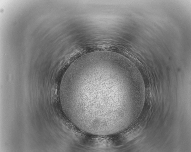 X0000086980615200704231821