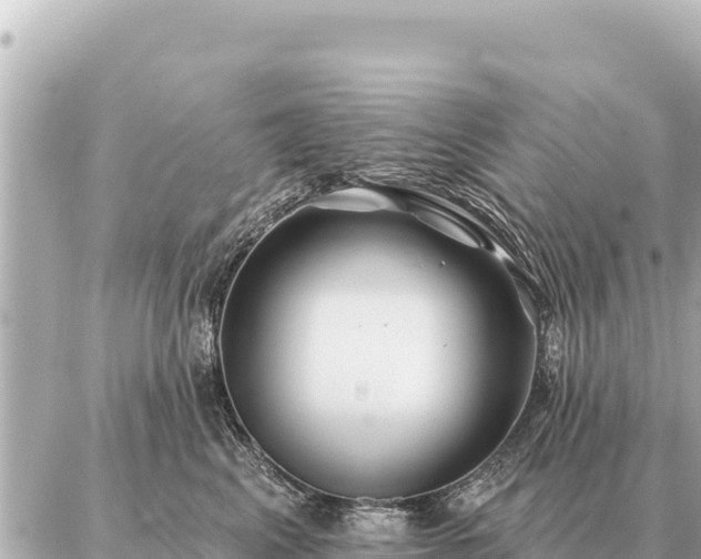 X0000086980617200704231821