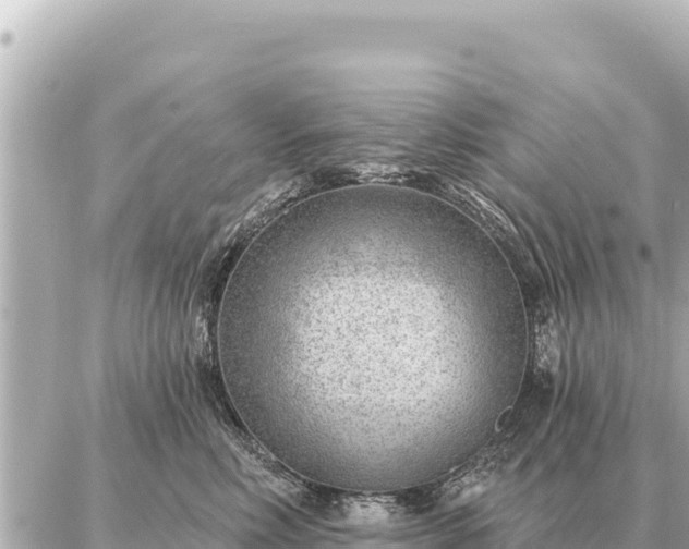 X0000086980618200704231821