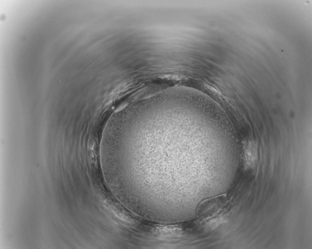 X0000086980619200704231821