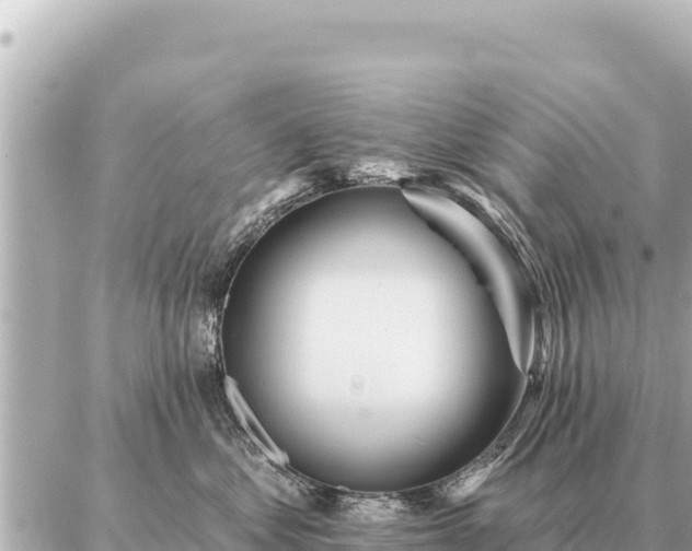 X0000086980621200704231821