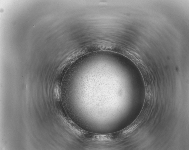 X0000086980622200704231821