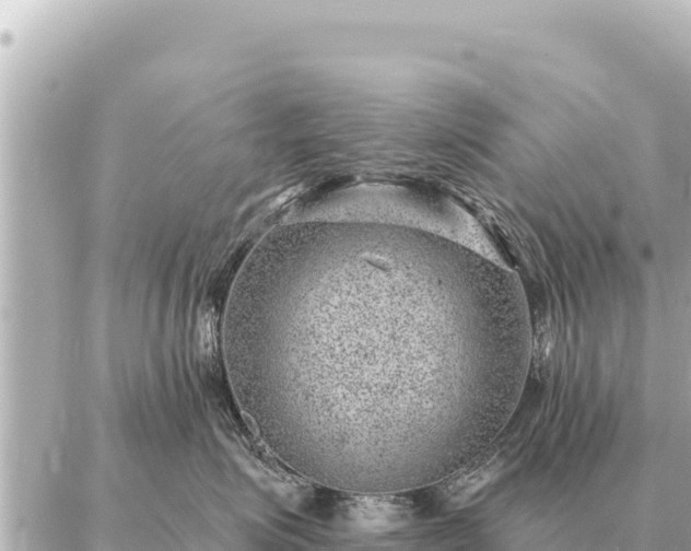 X0000086980623200704231821