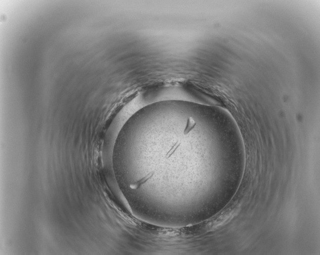 X0000086980624200704231821