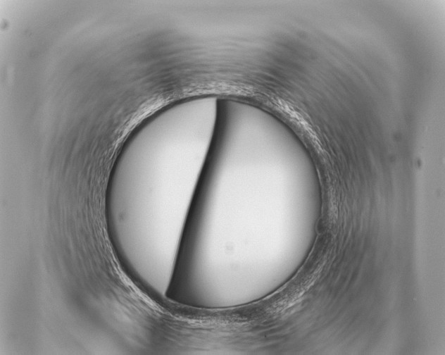 X0000086980625200704231820