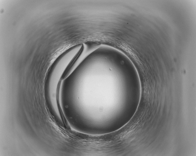 X0000086980626200704231820