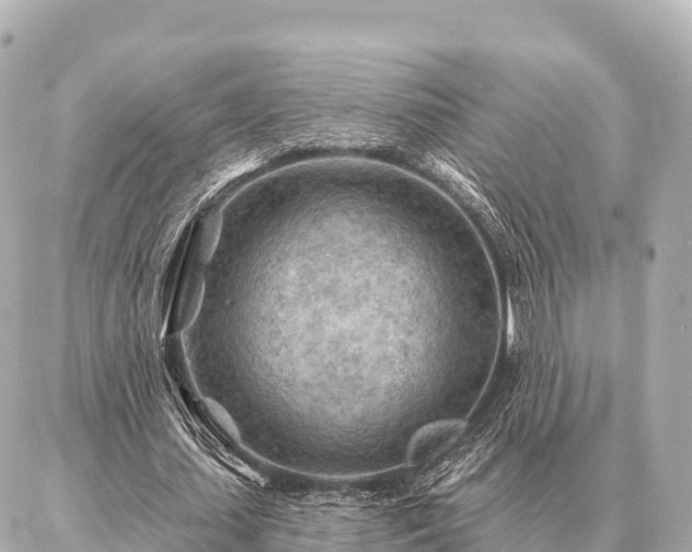 X0000086980627200704231820