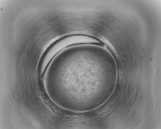 X0000086980628200704231820