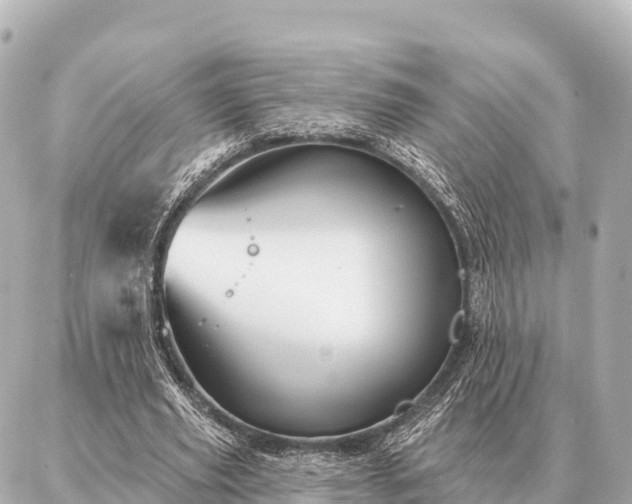 X0000086980629200704231820