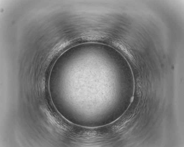 X0000086980631200704231820