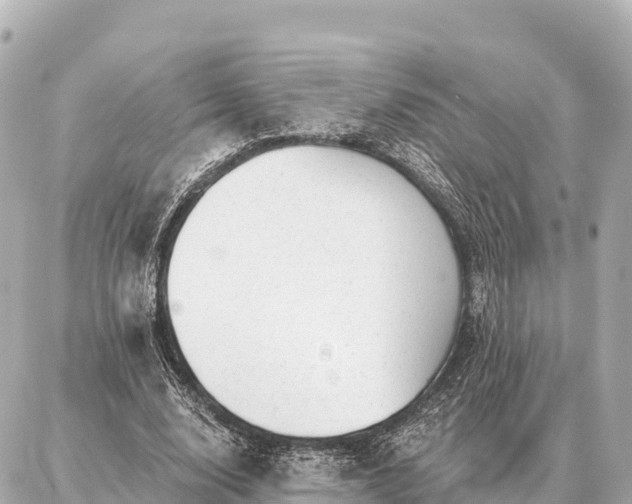 X0000086980632200704231820