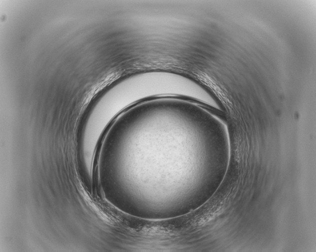 X0000086980634200704231820