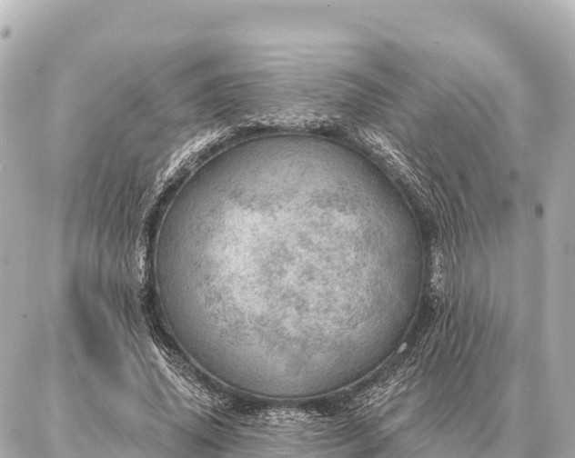 X0000086980636200704231820