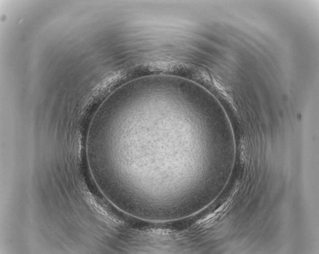 X0000086980637200704231820