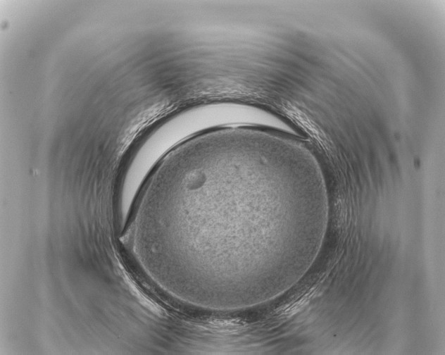 X0000086980638200704231820