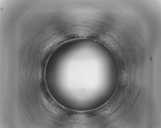 X0000086980639200704231820