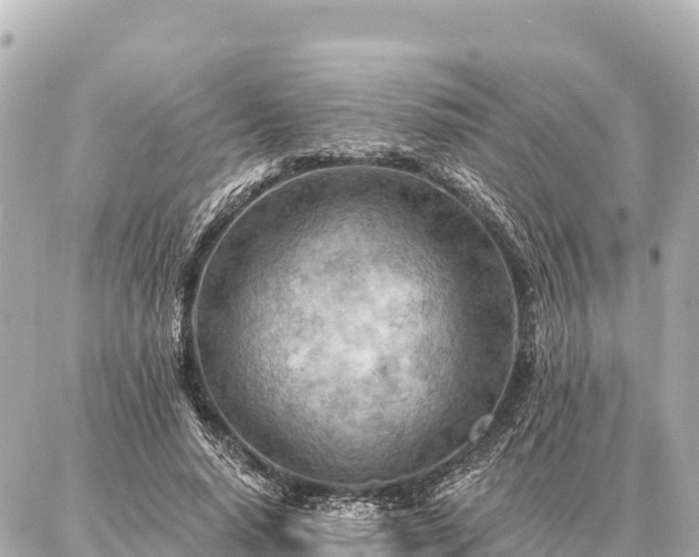 X0000086980640200704231820