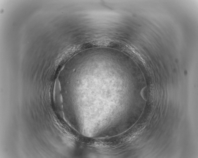 X0000086980641200704231820