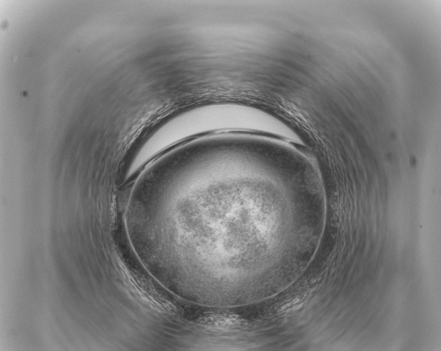 X0000086980642200704231820