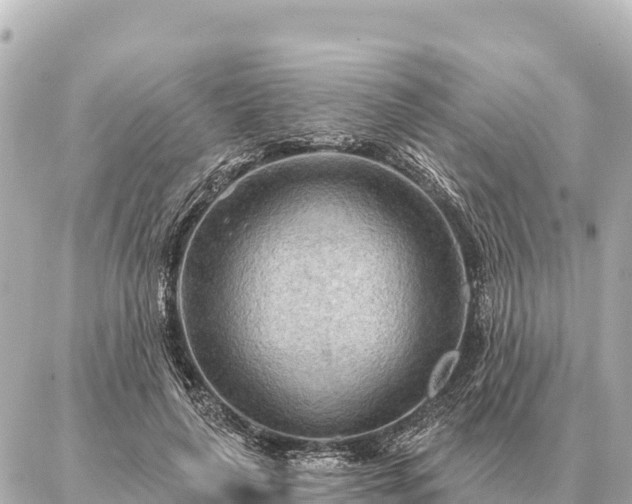 X0000086980643200704231820