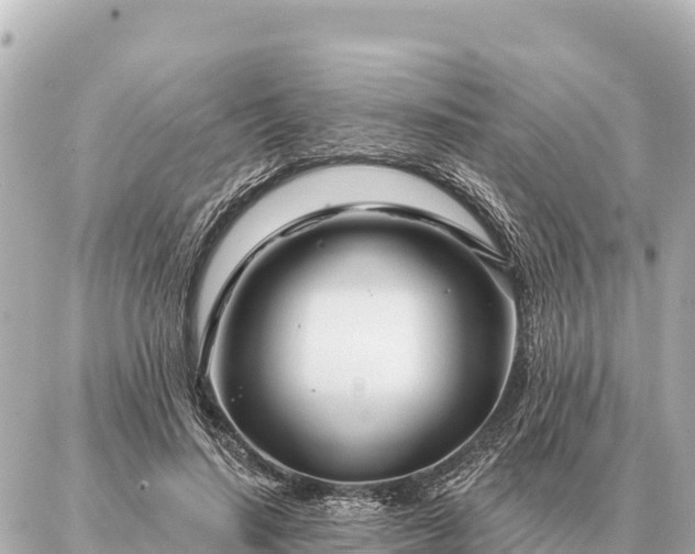 X0000086980644200704231820