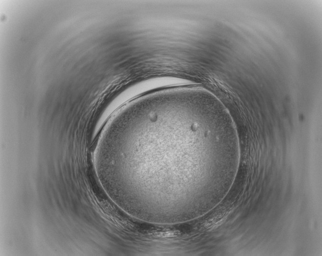 X0000086980646200704231820