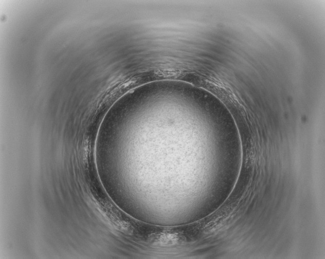 X0000086980647200704231820