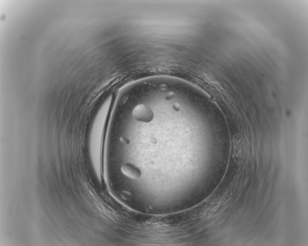 X0000086980648200704231820