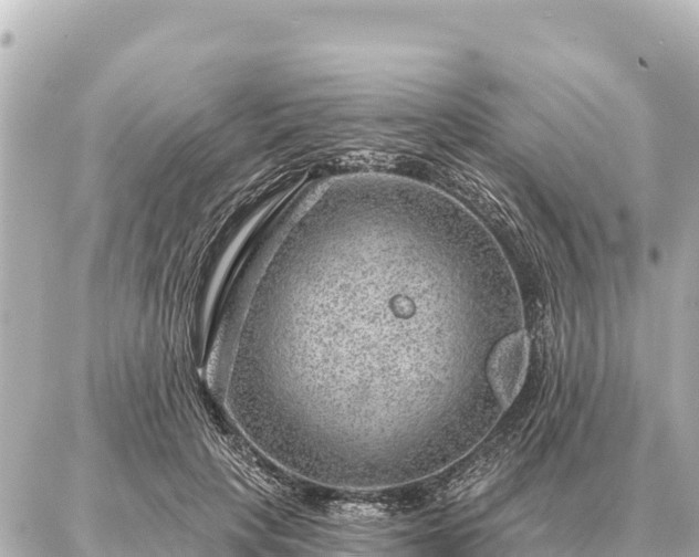 X0000086980649200704231820