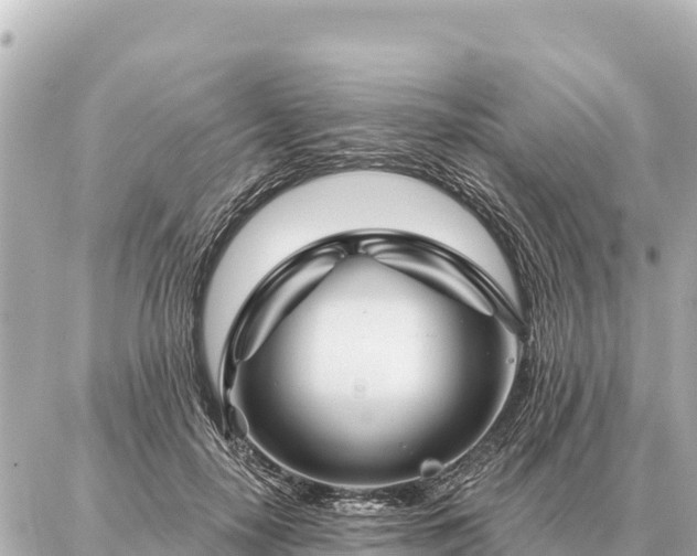 X0000086980650200704231820