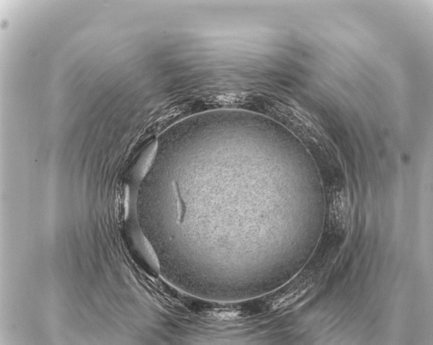 X0000086980651200704231820