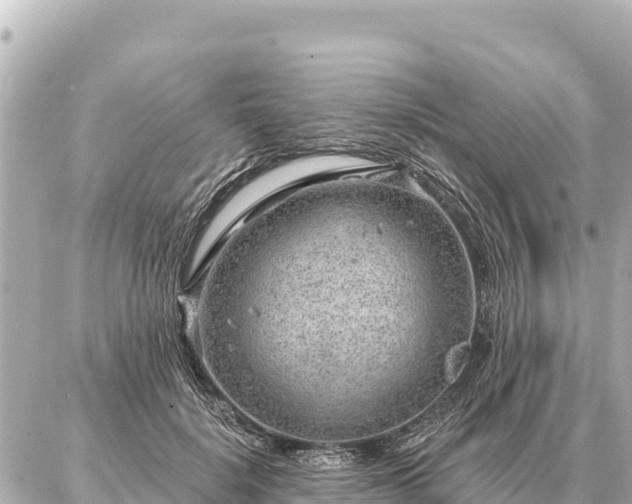 X0000086980652200704231820