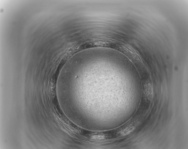 X0000086980653200704231820