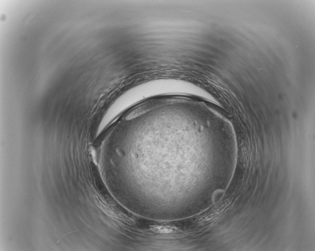 X0000086980654200704231820