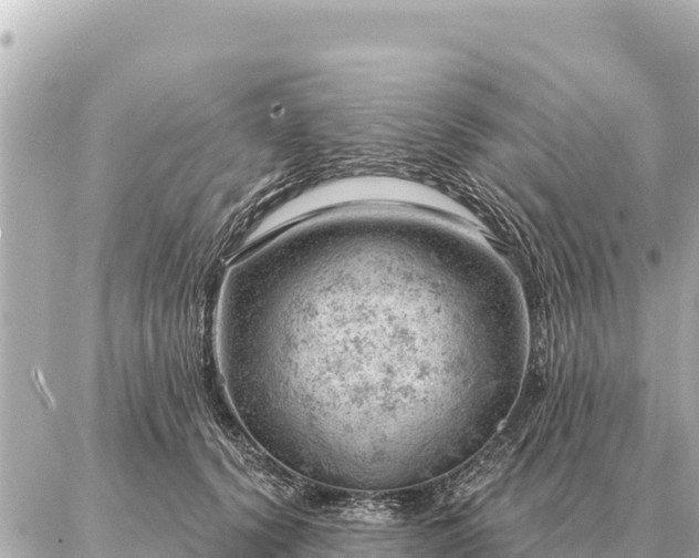 X0000086980656200704231820