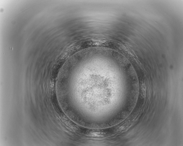 X0000086980657200704231820