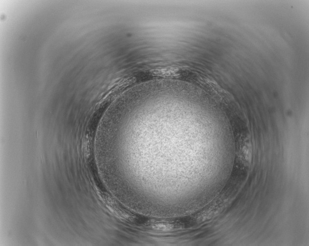 X0000086980658200704231821