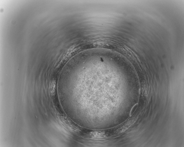 X0000086980660200704231821