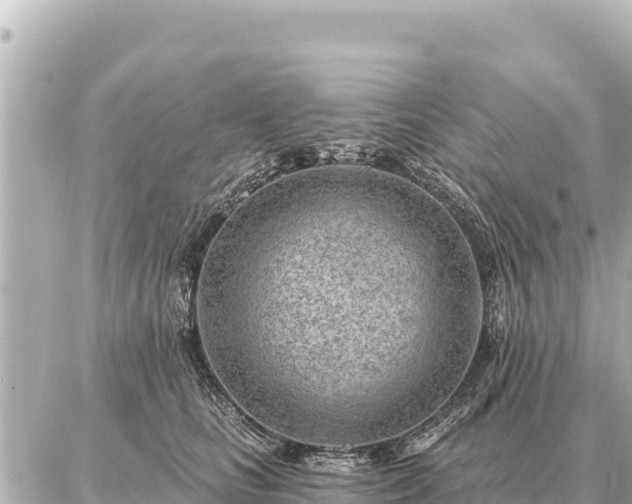 X0000086980661200704231821