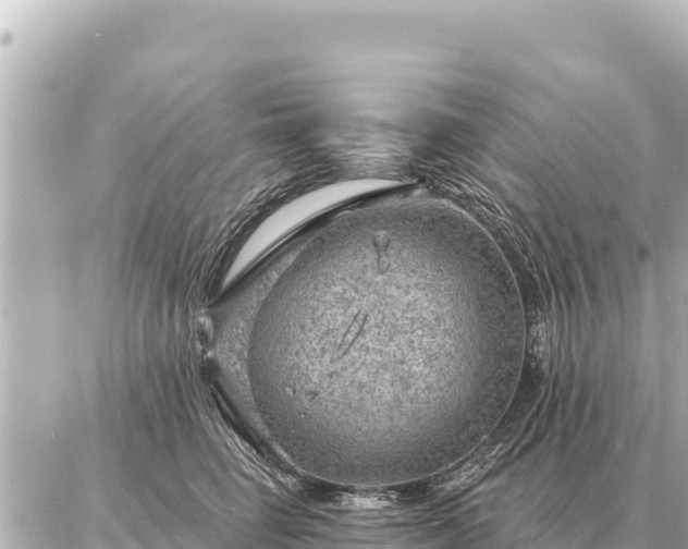 X0000086980662200704231821