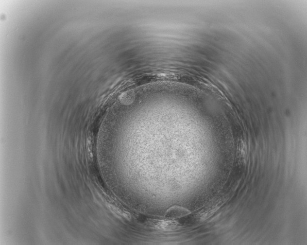 X0000086980663200704231821