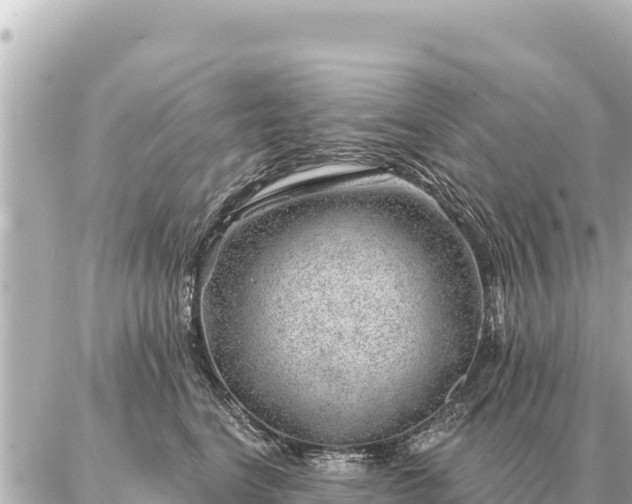 X0000086980664200704231821