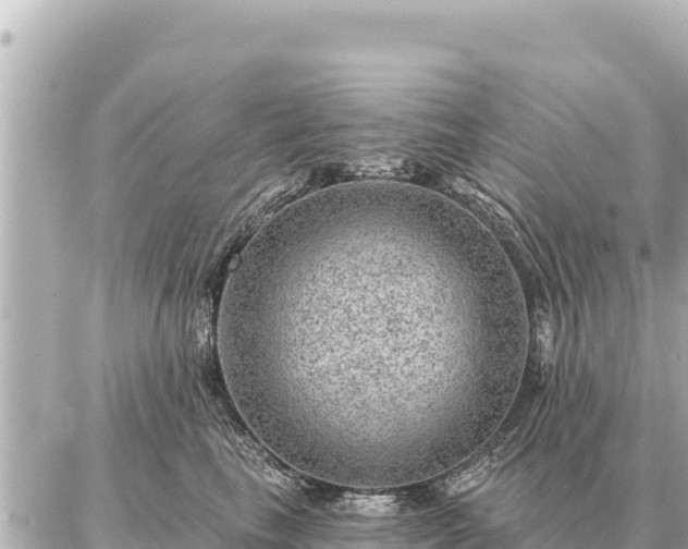 X0000086980665200704231821