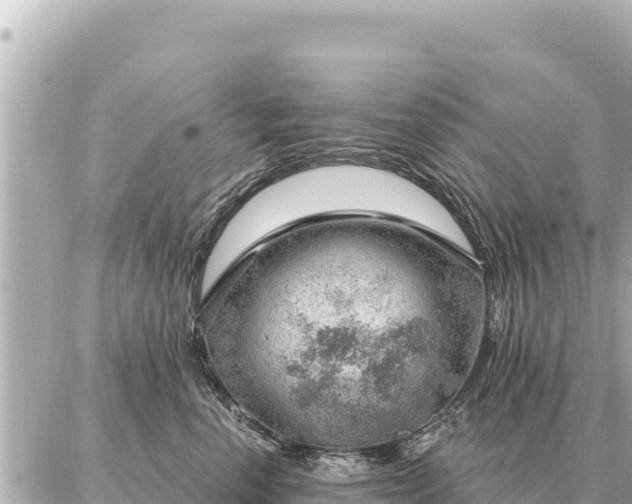 X0000086980666200704231821