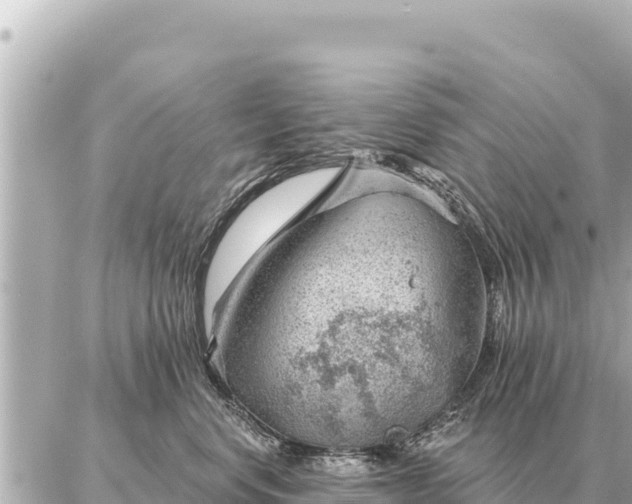 X0000086980668200704231821