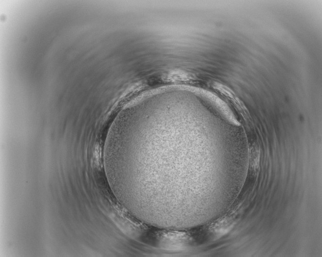 X0000086980669200704231821