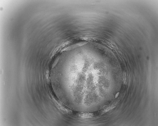 X0000086980670200704231821