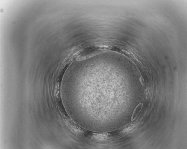 X0000086980671200704231821